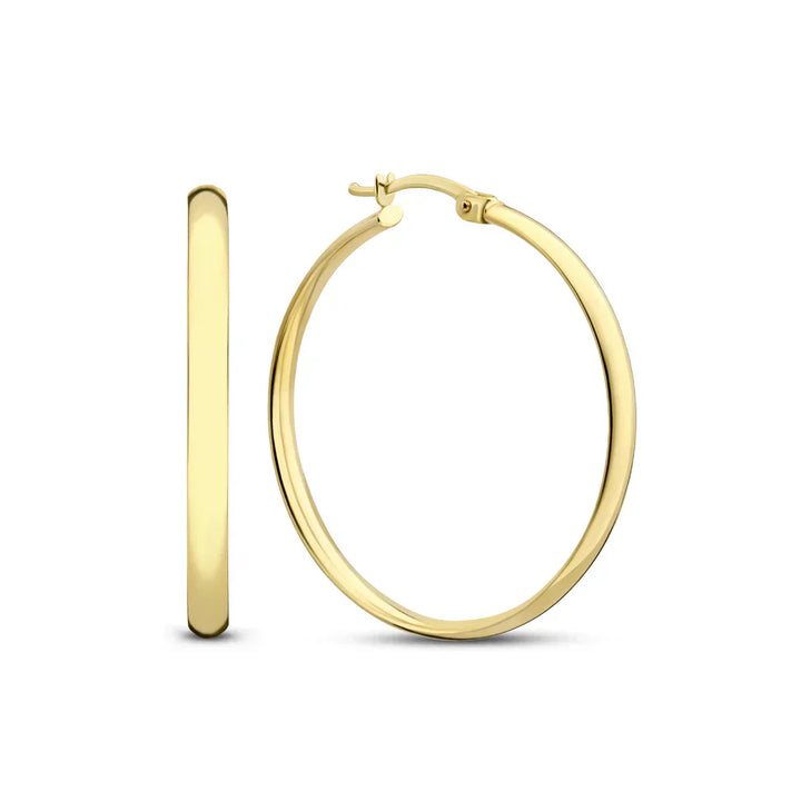 Noa -  Serane Gold Earrings